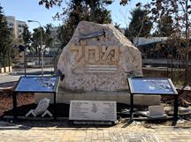 World Machal, Machal, War of Independence, Volunteers from Abroad